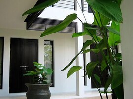 A room with a large window, a potted plant, and a door.