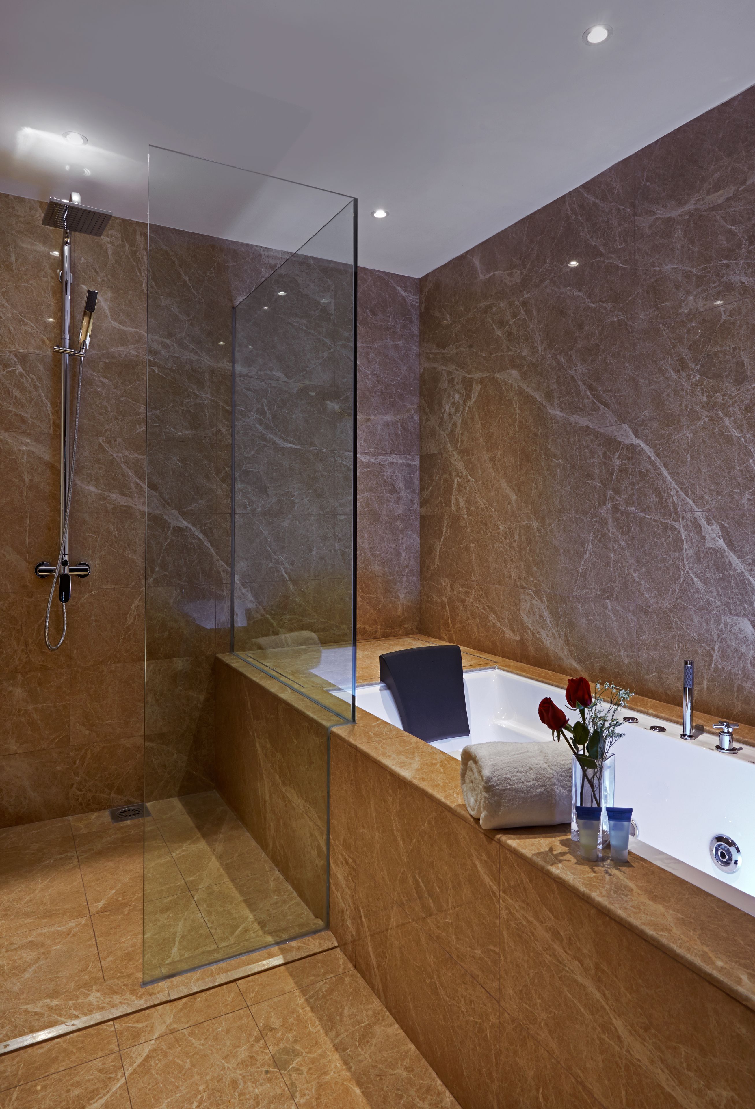 Shower, rainfall showerhead, free toiletries, hair dryer