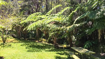 Jardín