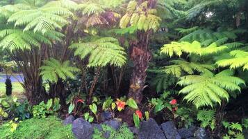 Jardines del alojamiento