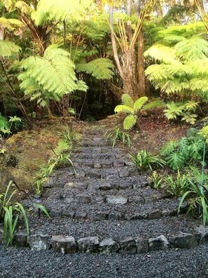Jardines del alojamiento