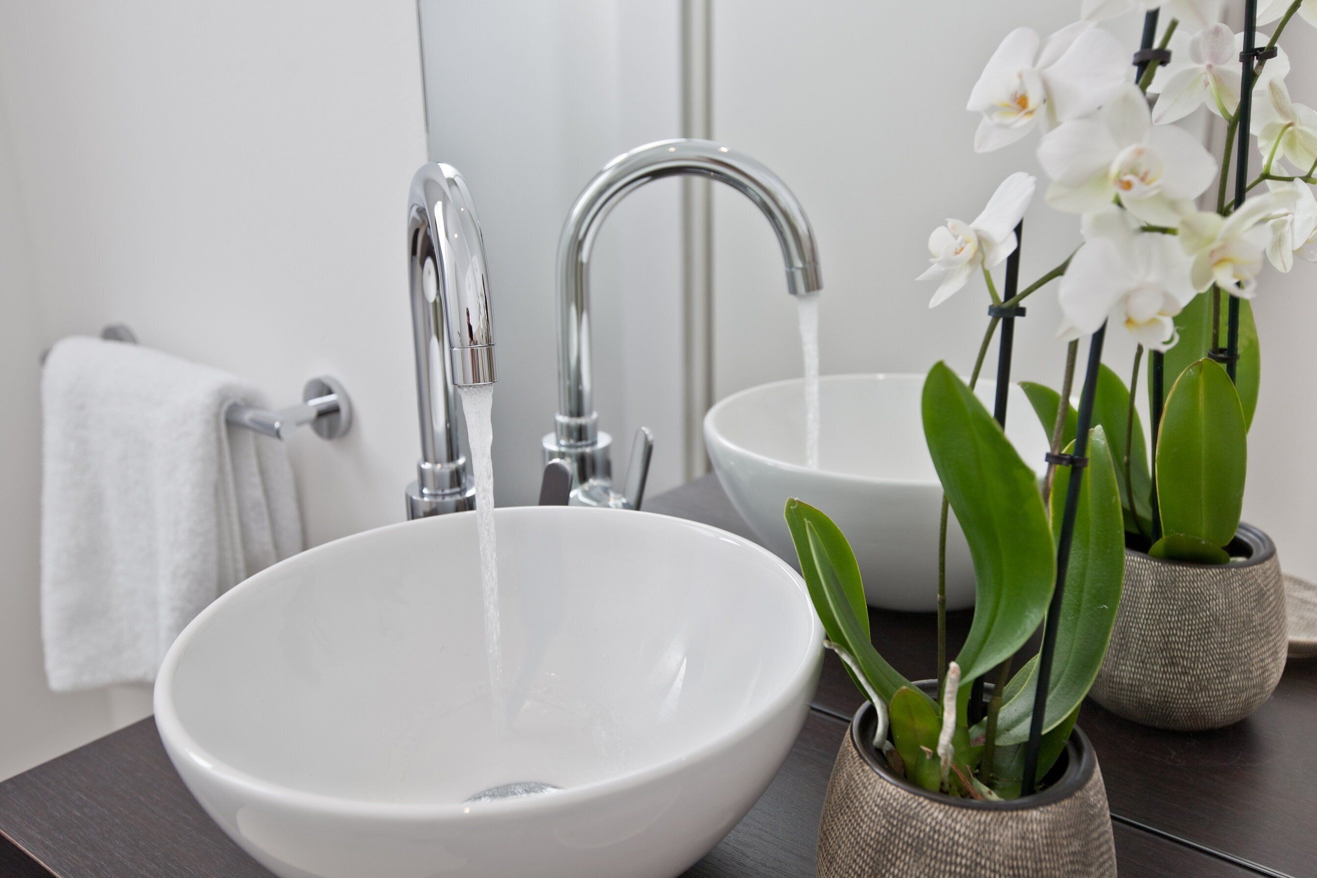 Un lavabo de salle de bain avec un robinet, un miroir et deux orchidées en pot.