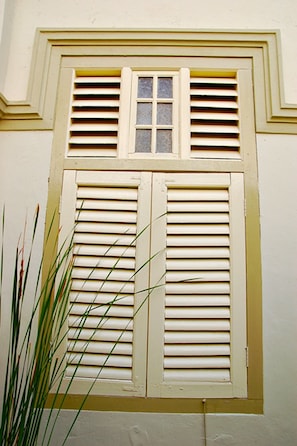 Una ventana con contraventanas, una ventana más pequeña arriba y una planta en primer plano.
