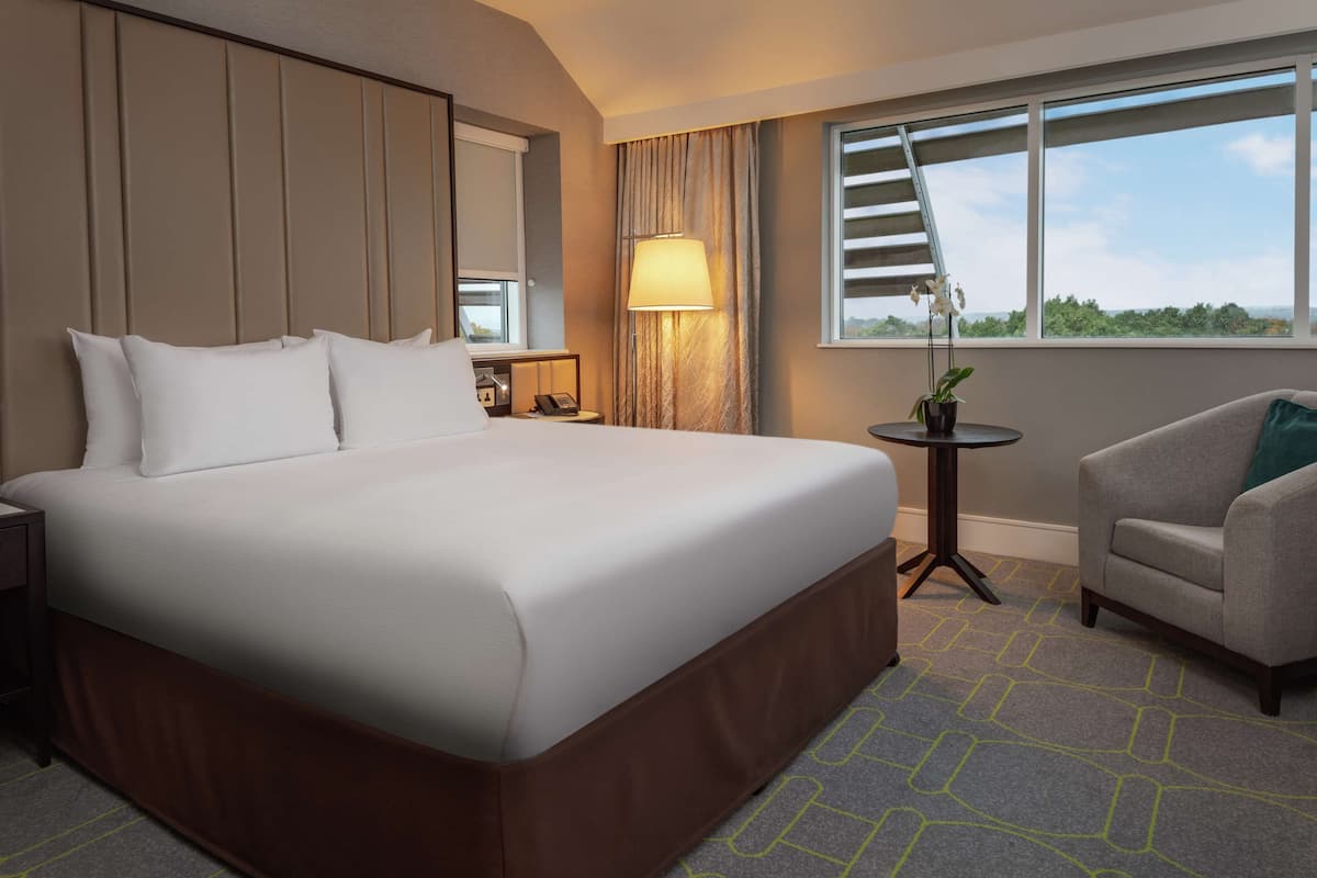 Een hotelkamer met een groot bed, een bureau, een stoel, een lamp en uitzicht op het groen.