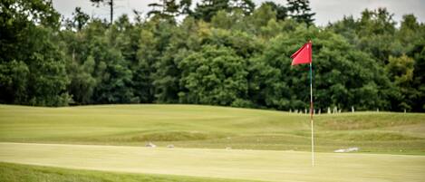 Um campo de golfe com uma bandeira vermelha no green, rodeado por árvores.