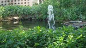 A garden with a water feature and dense greenery. - Island Resort (Chincoteague)