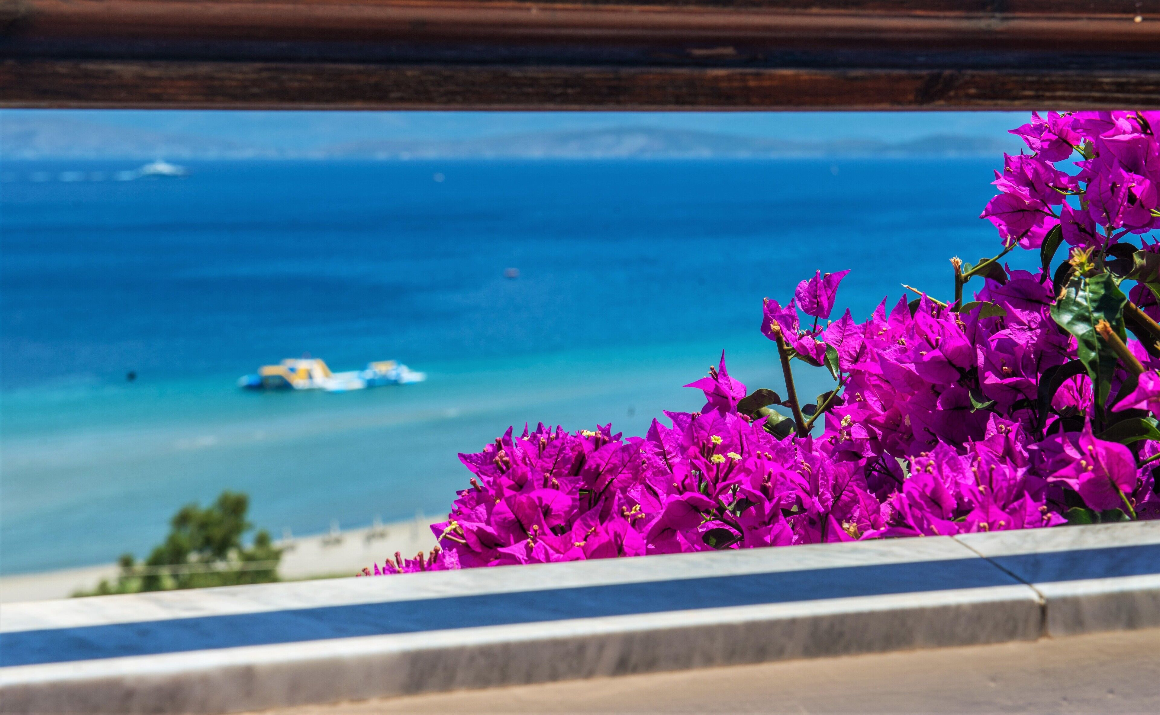 A coastal view with vibrant purple flowers in the foreground and a clear blue sea in the background.