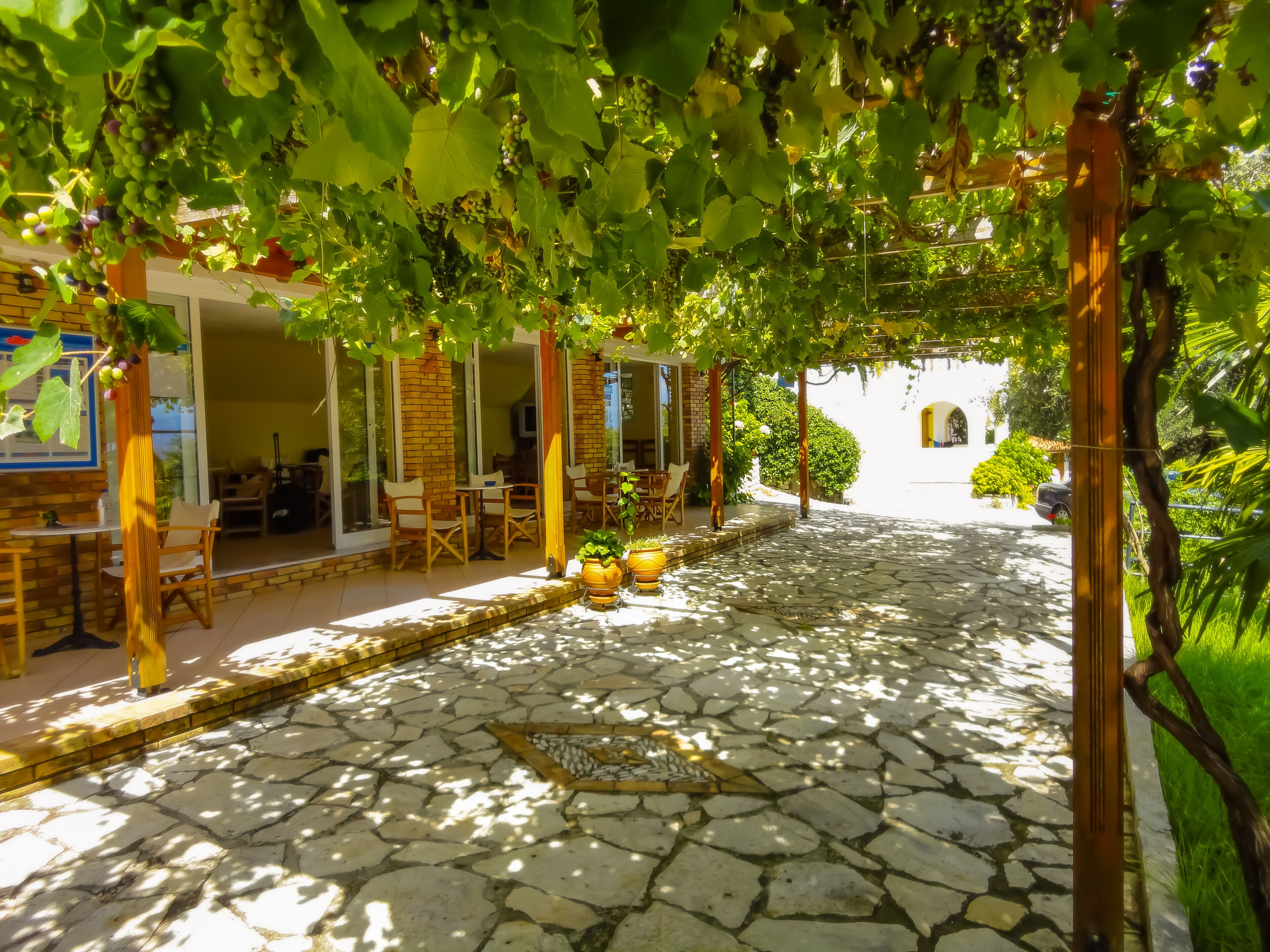 A courtyard with stone flooring, outdoor seating, and grapevines overhead.