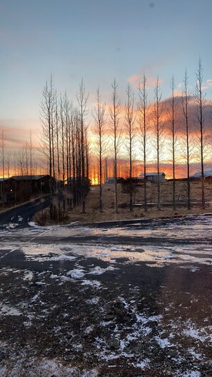 A rural landscape with a dirt road, leafless trees, and a sunset in the background. - Uthlid Cottages (Bláskógabyggd)