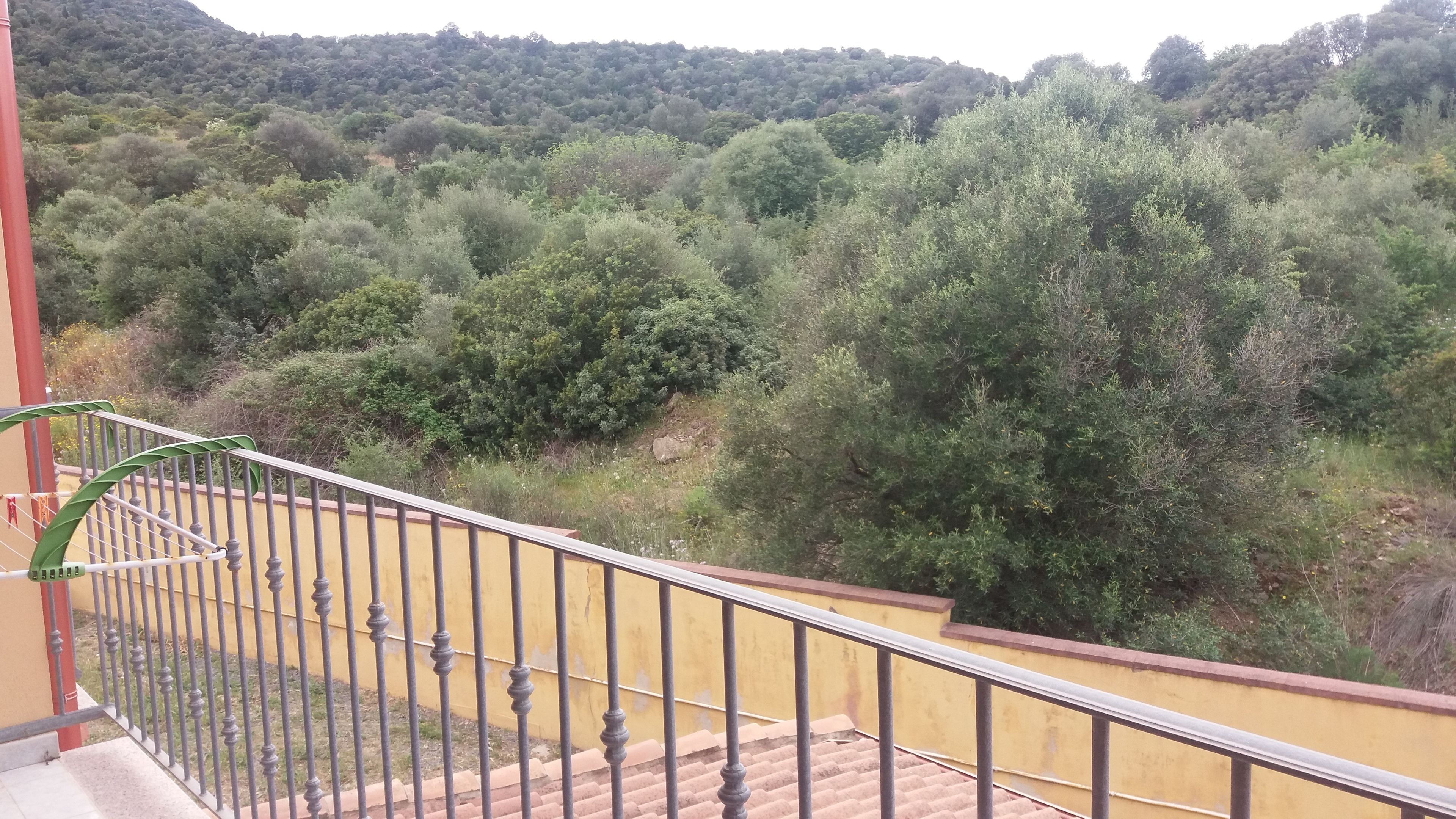 quadruple room, mountain view | view from room