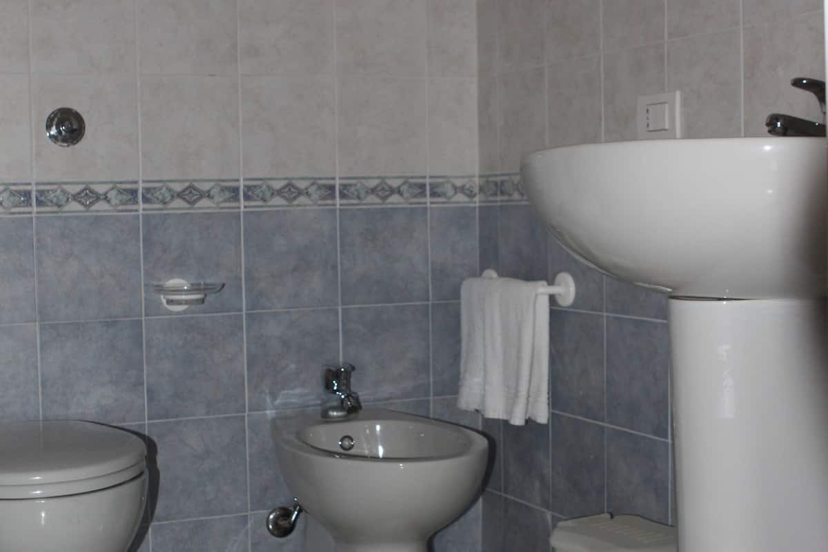 shower, free toiletries, hair dryer, bidet