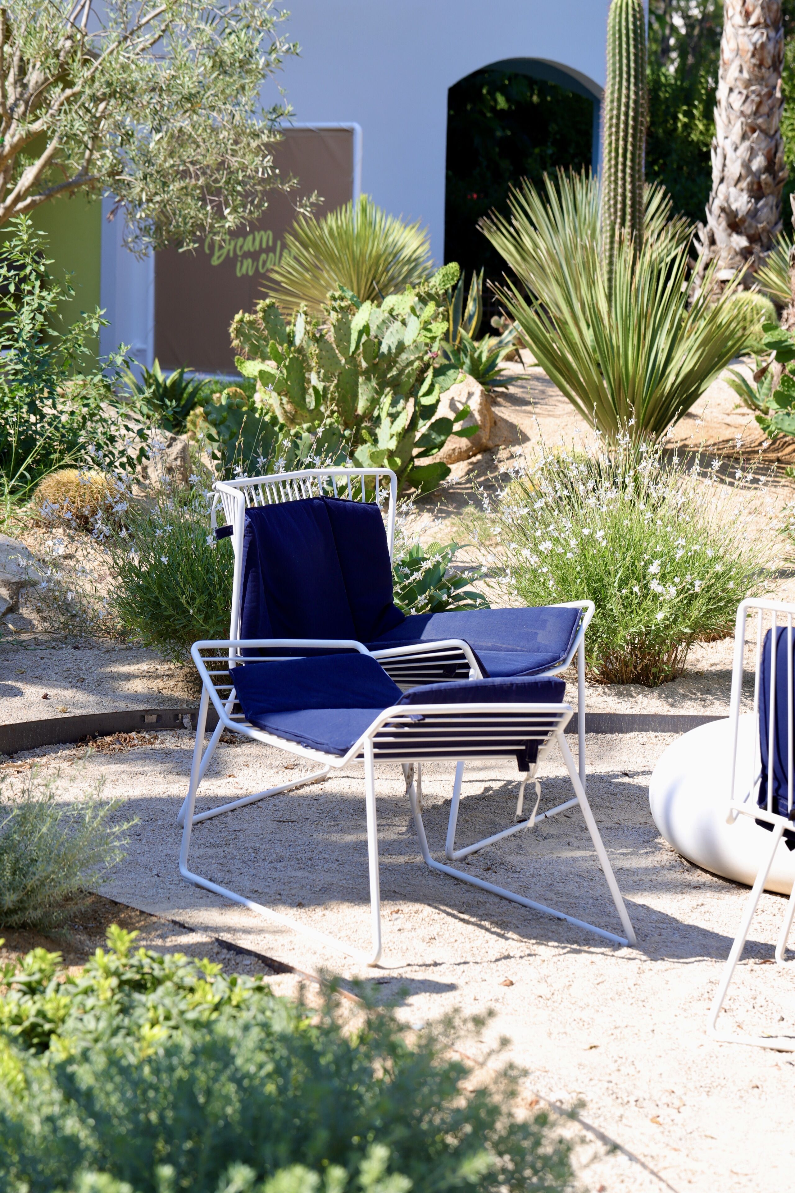 Una sedia bianca in metallo con cuscino blu, in un giardino con piante e un cactus.