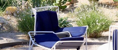 Una sedia bianca in metallo con cuscino blu, in un giardino con piante e un cactus.