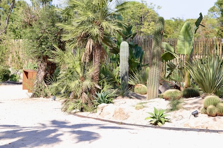 Garden. Hotel Casarose