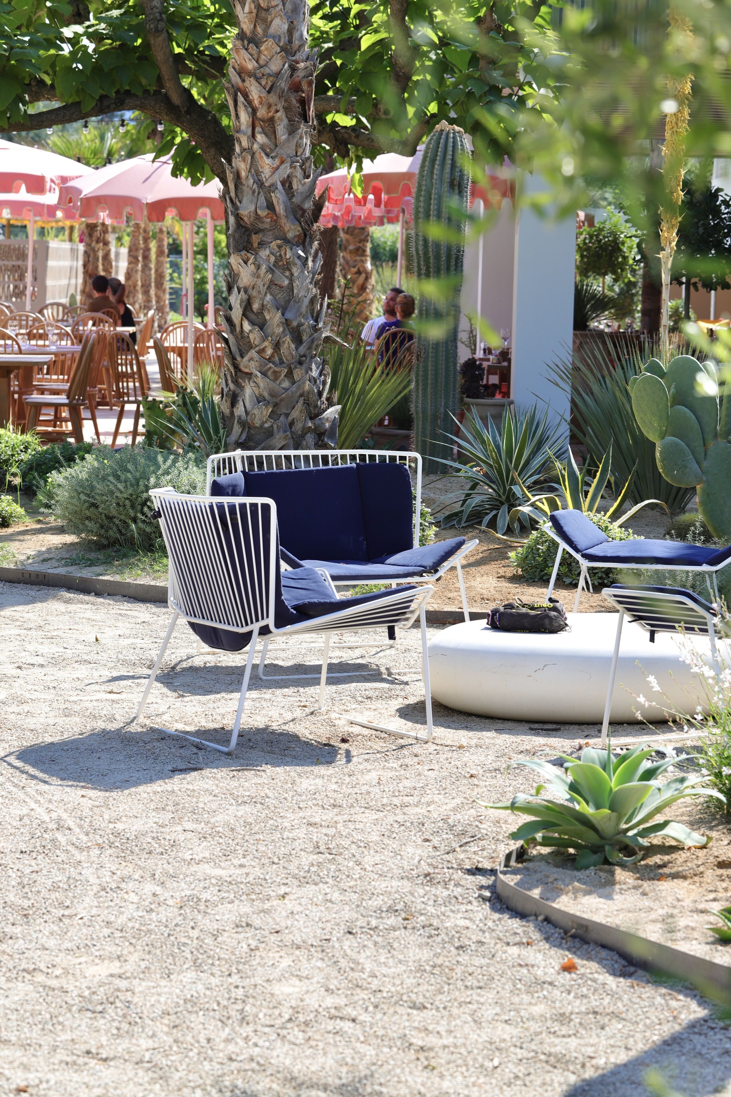 Outdoor seating with a palm tree, cacti, and a table with umbrellas.