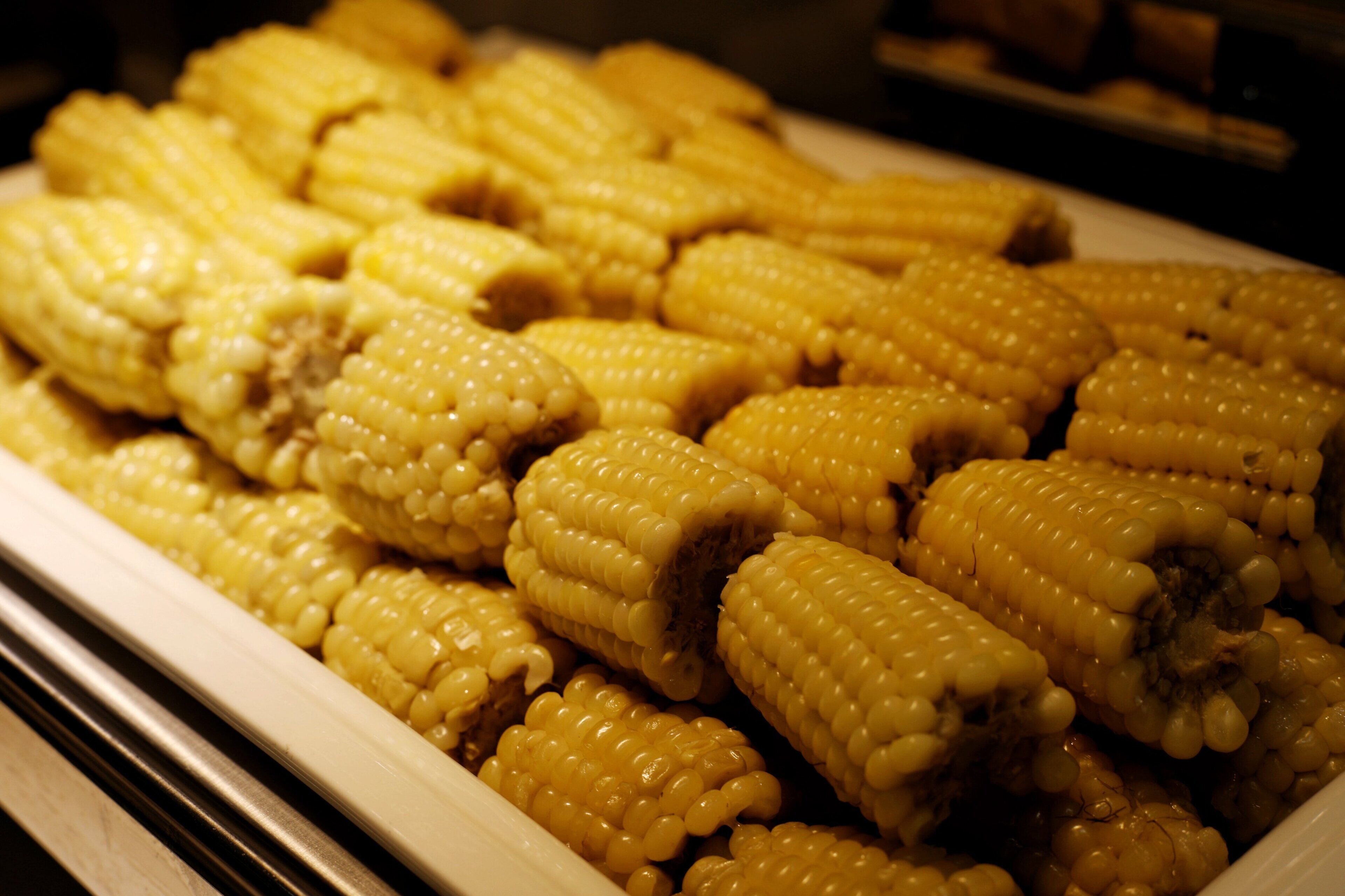 A display of cooked corn on the cob in a white tray.