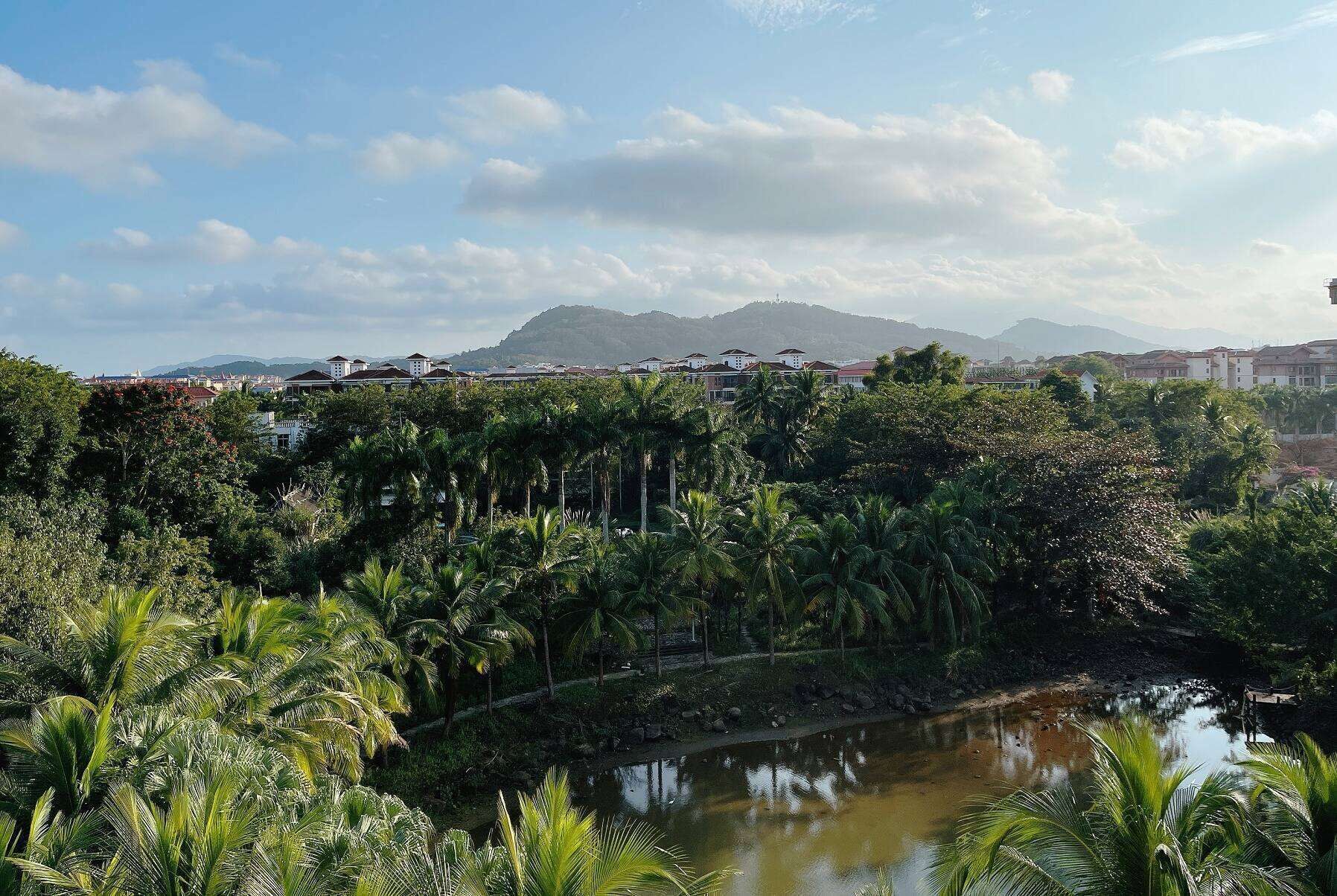 Un paisaje tropical con un río, vegetación densa y una cadena montañosa distante.