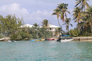 A coastal scene with boats docked near a building with a white roof, surrounded by palm trees and greenery. - Regatta Point (George Town)