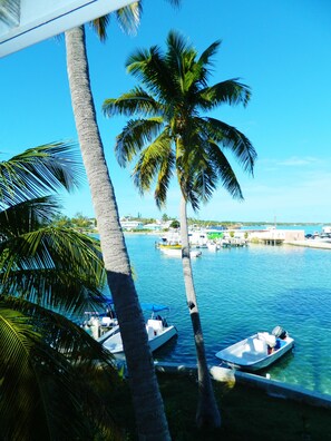 Uitzicht vanuit accommodatie