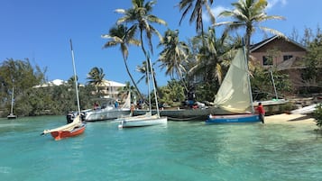 Paseos en bote