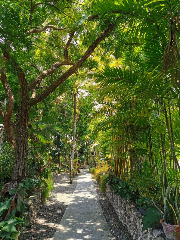 Jardim
