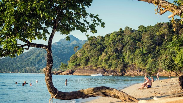 A beach with a large tree in the foreground, a boat on the water, and people swimming and relaxing on the sand.