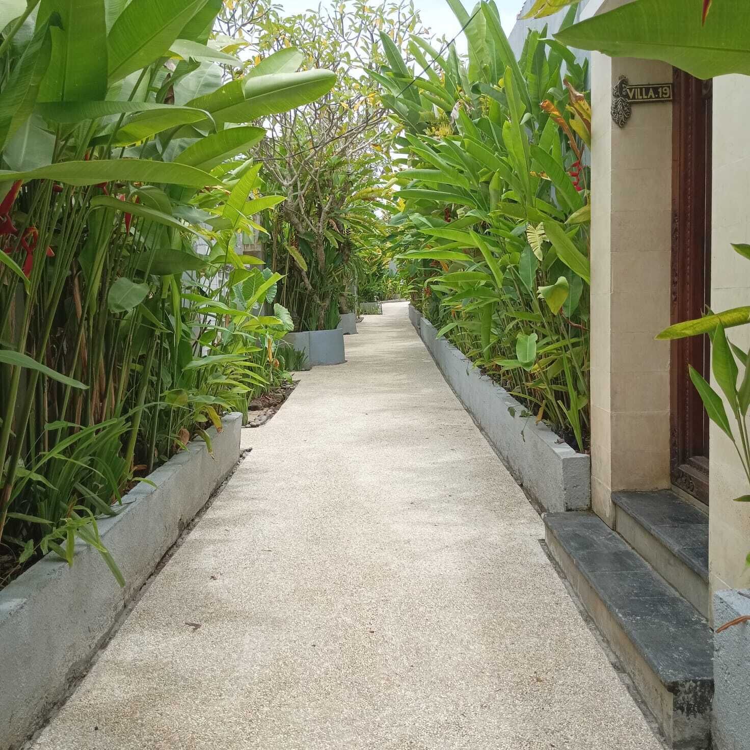 A concrete pathway flanked by lush green plants leading to a building entrance.