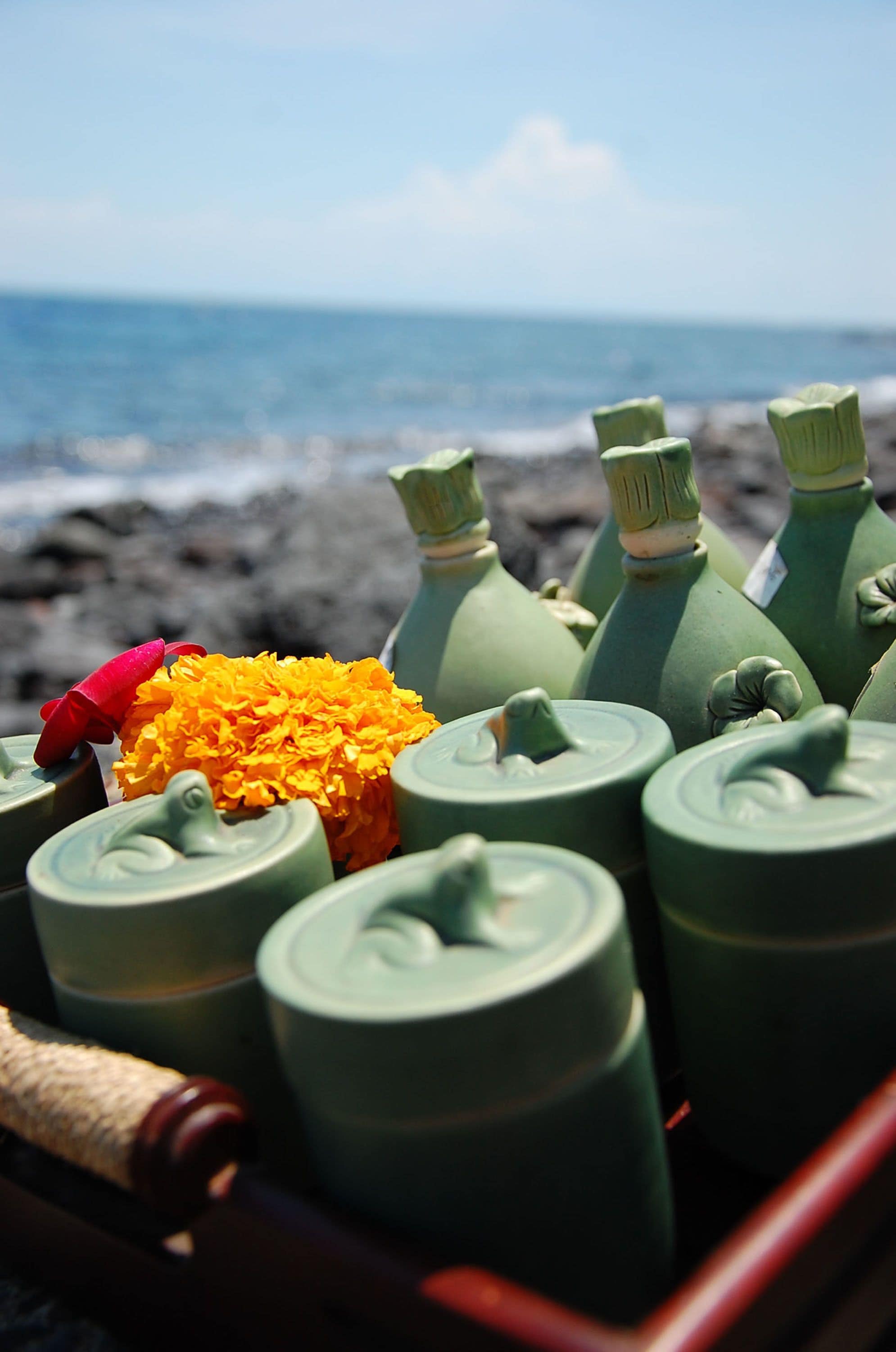 Un conjunto de botellas verdes con etiquetas, algunas con tapas rojas, dispuestas sobre una superficie con una playa y océano desenfocados al fondo.