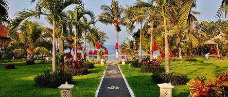 A pathway leading to a pool area surrounded by palm trees and red chairs, with a clear view of the sea in the background.