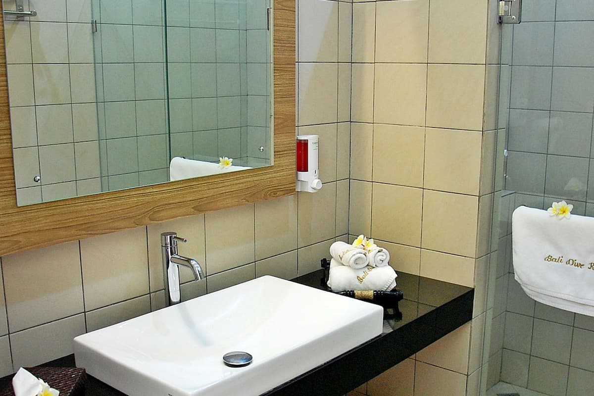 shower, rainfall showerhead, free toiletries, hair dryer