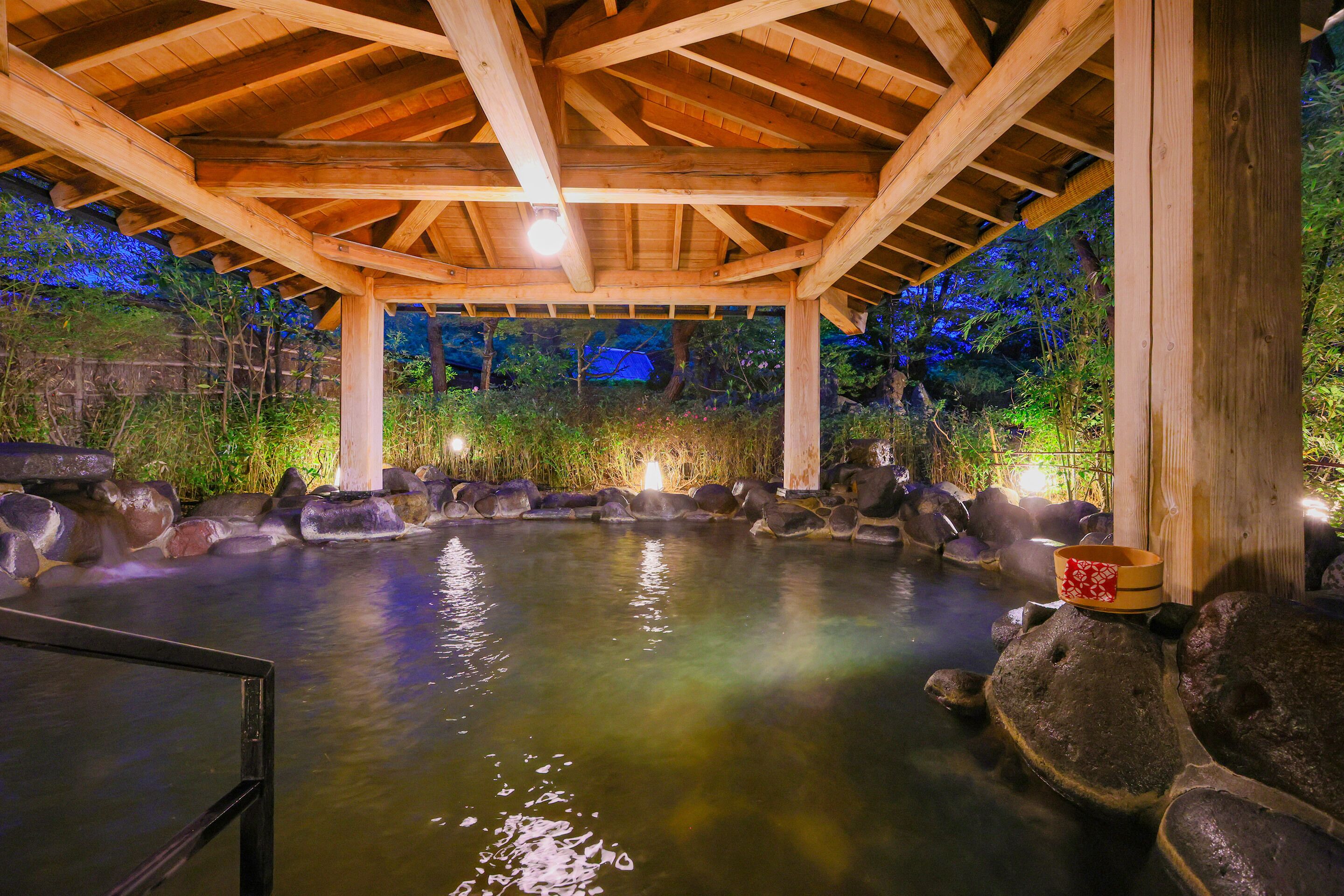 A wooden pavilion with a hot spring, surrounded by rocks and plants.