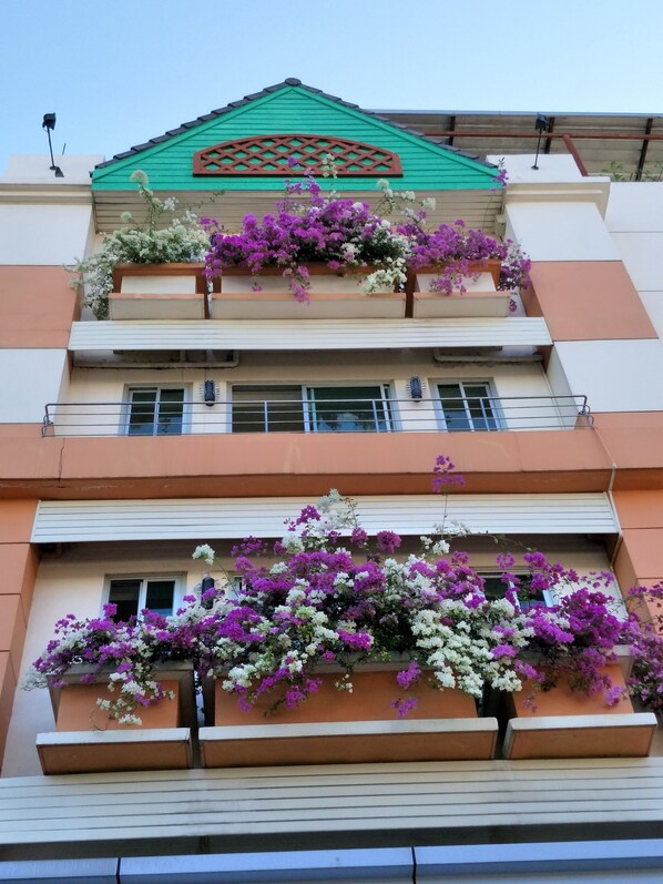 A multi-story building with balconies adorned with purple and white flowers.