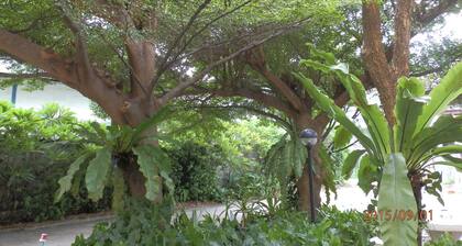 Sandy Serviced Apartment