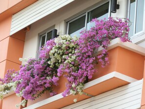 A building with a balcony covered in purple and white flowers.