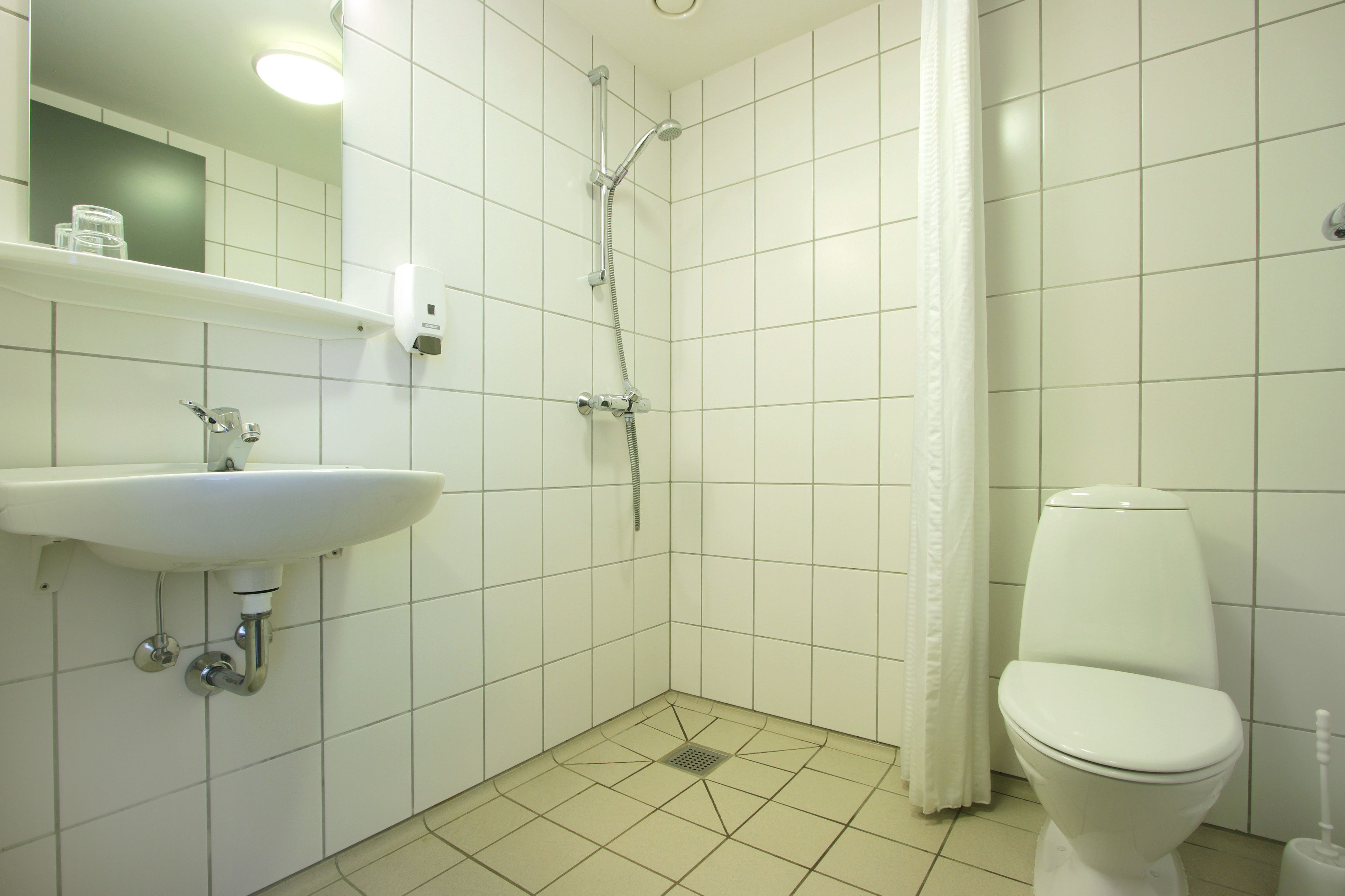 A bathroom with a white sink, a toilet, a shower, and a mirror.