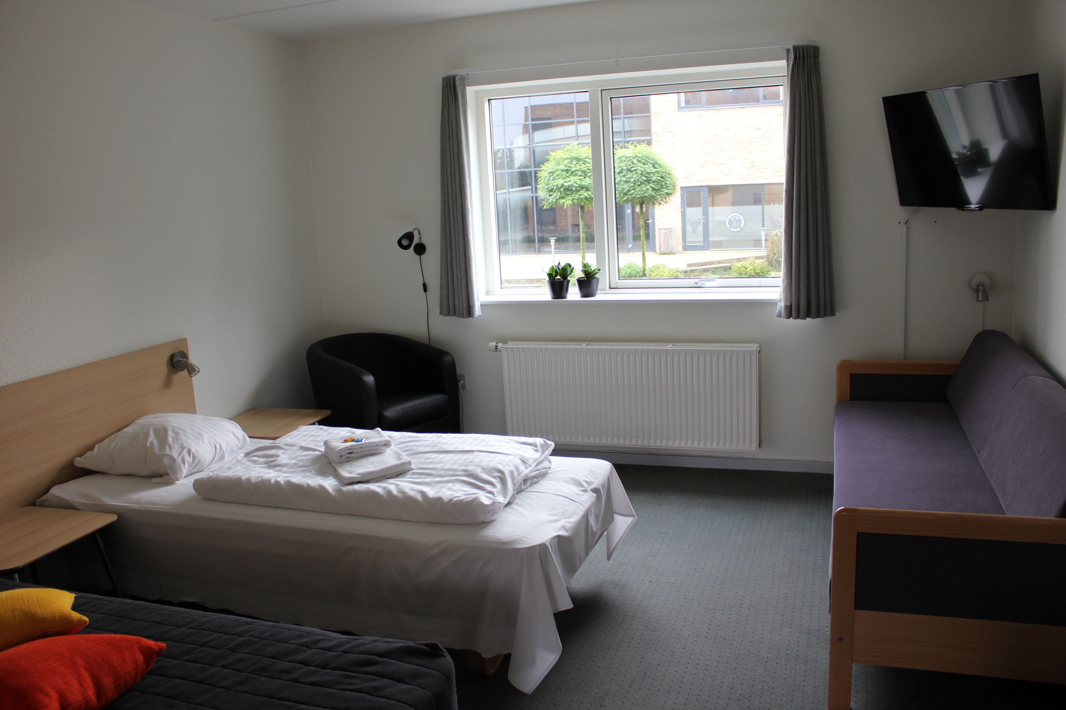 A hotel room with a bed, a chair, a sofa, a TV, and a window with plants.