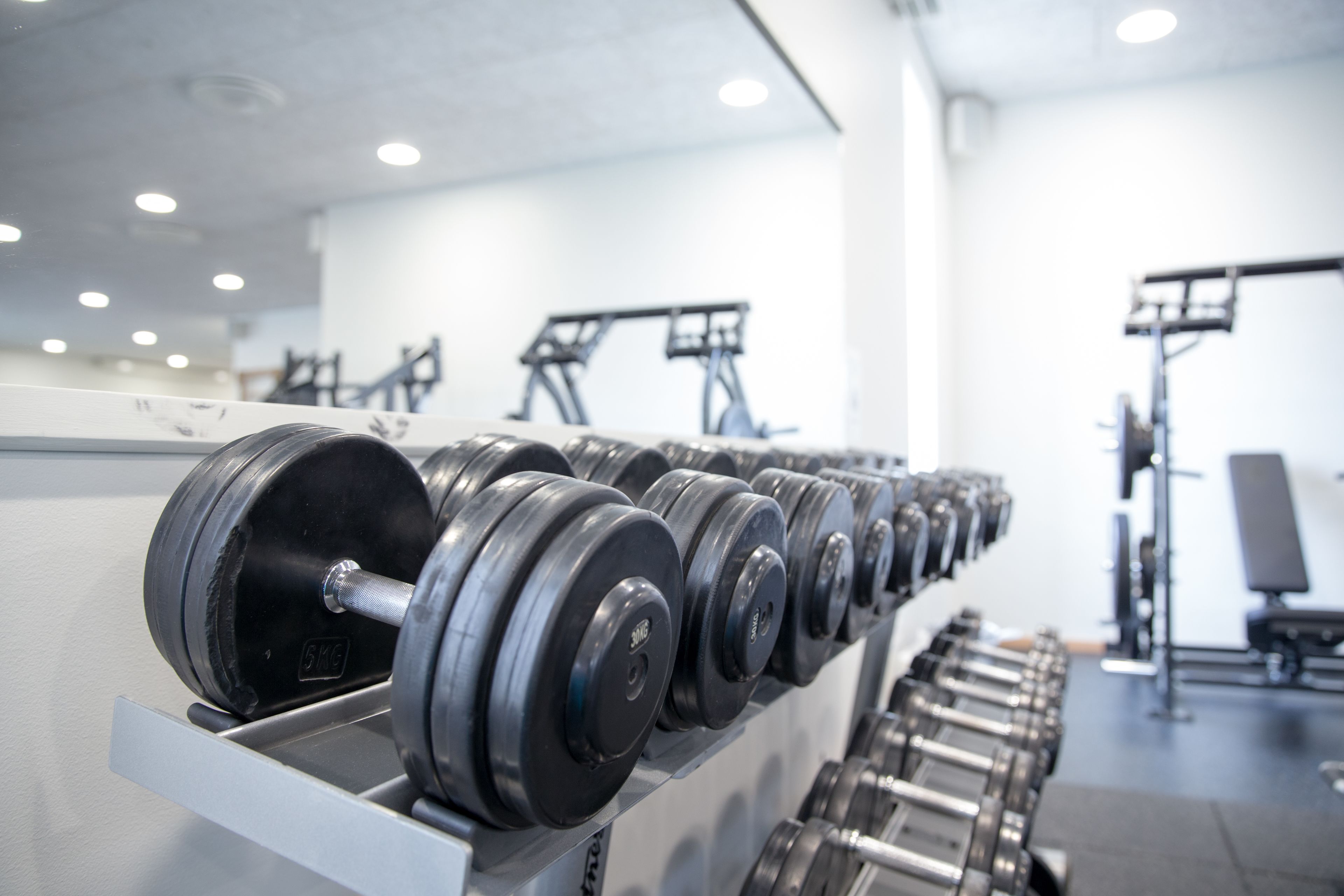 A row of dumbbells on a rack in a gym.