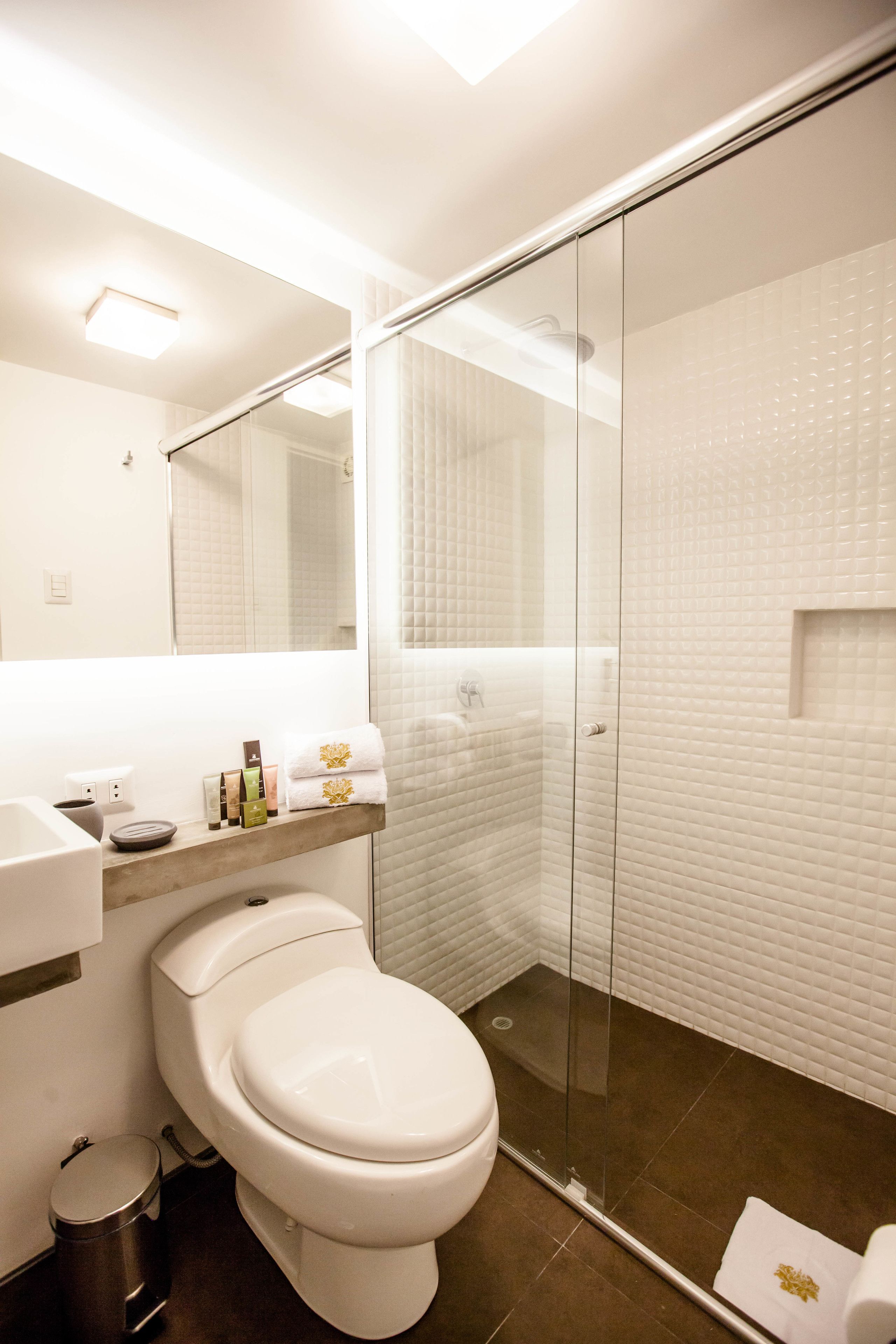 combined shower/bathtub, free toiletries, hair dryer, towels