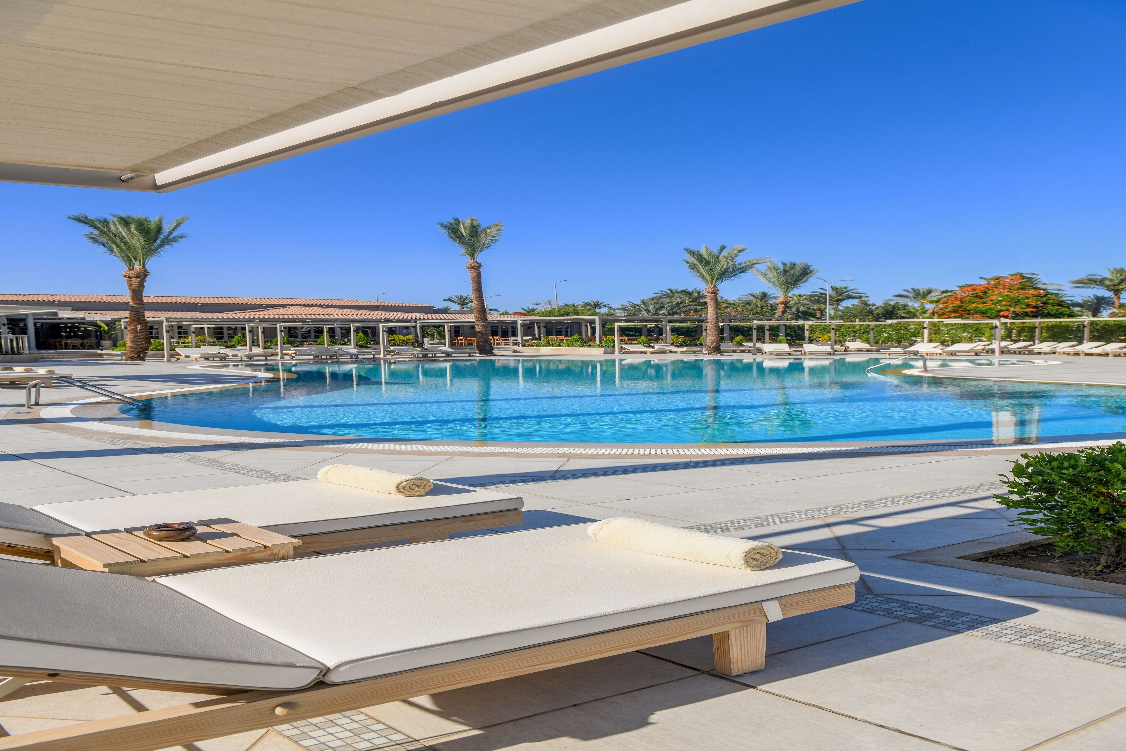 A pool area with lounge chairs and palm trees.