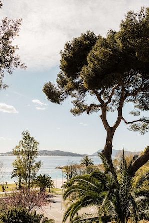 Un paysage côtier avec un arbre imposant, un ciel dégagé et une vue sur la mer.