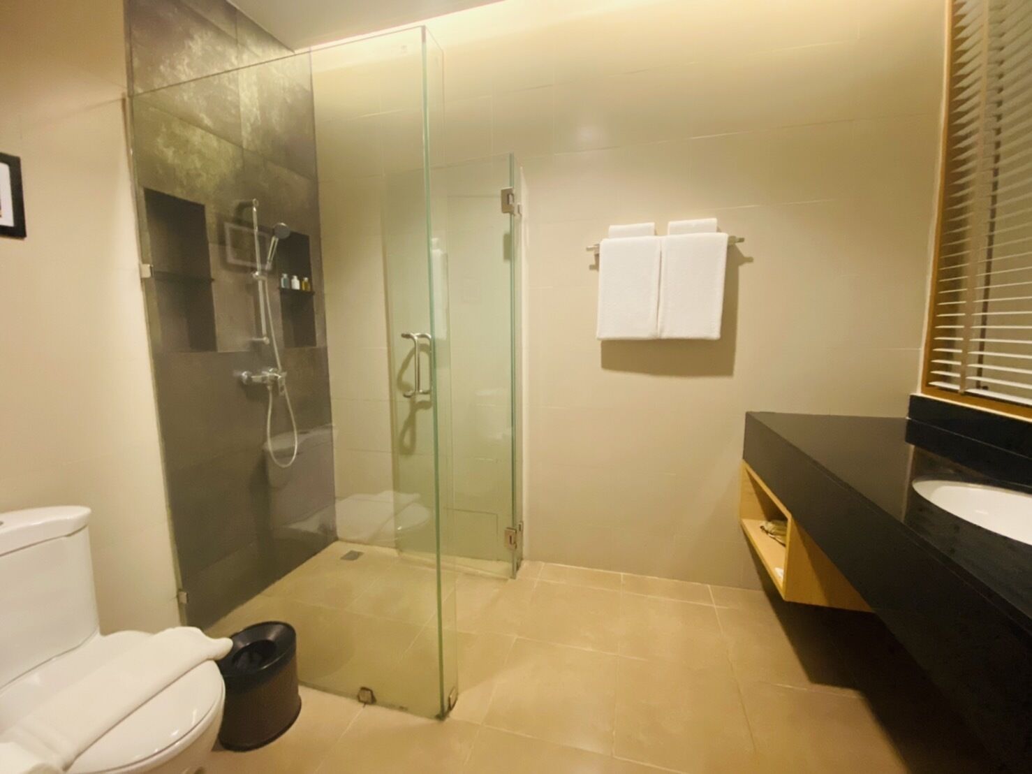 Un baño moderno con ducha de vidrio, inodoro blanco y lavamanos negro sobre encimera oscura.