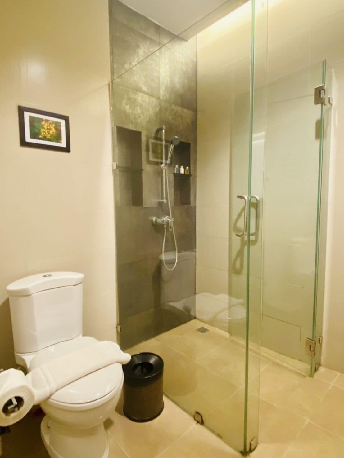 shower, free toiletries, hair dryer, slippers