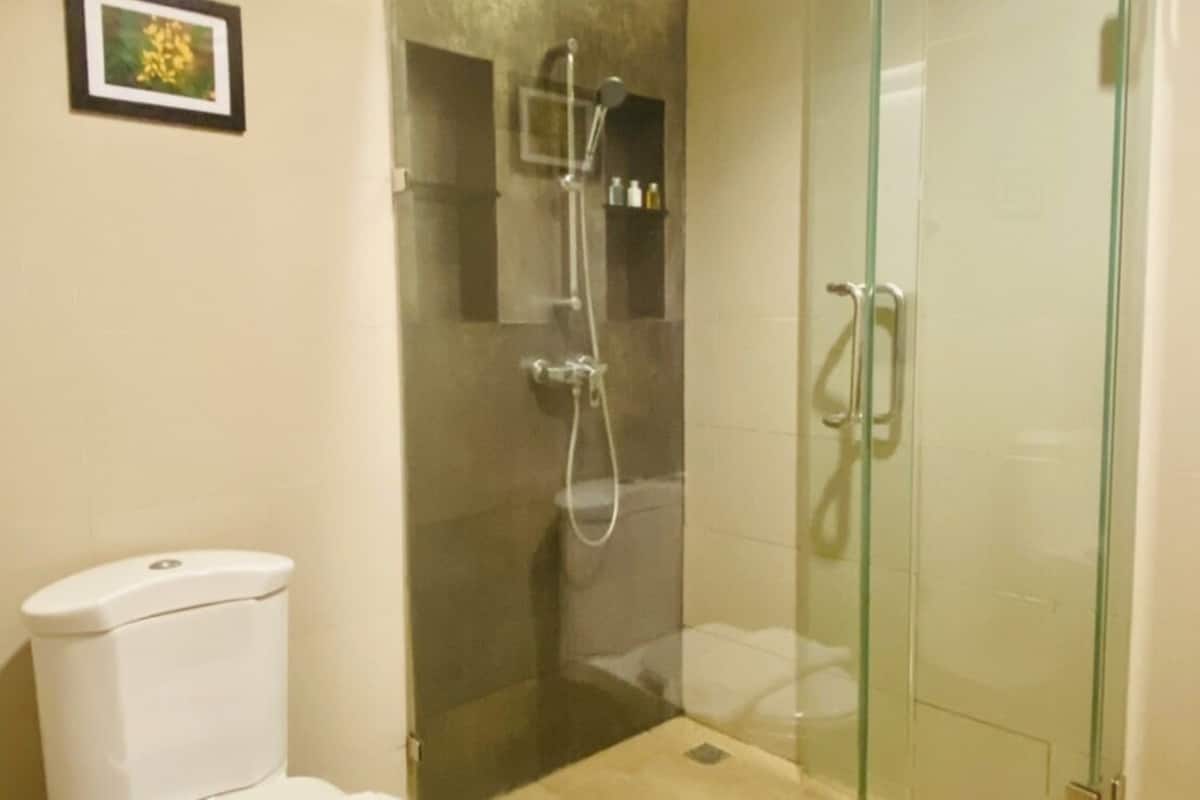 shower, free toiletries, hair dryer, slippers