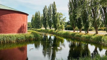 A serene pond with swans, surrounded by lush greenery and tall trees.