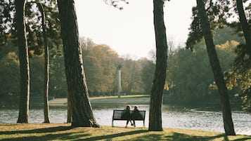 A park with a bench by a lake, surrounded by trees.