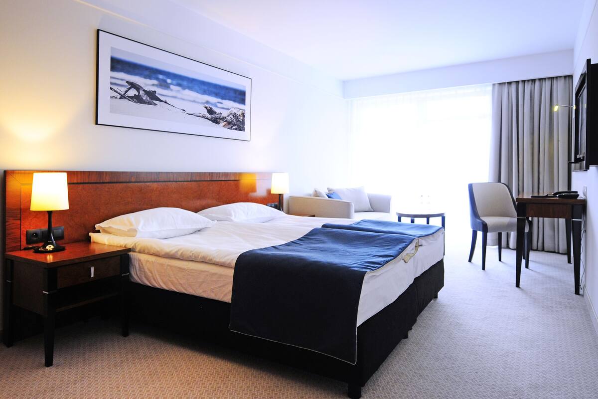 A hotel room with a large bed, a desk, a chair, a TV, and a picture on the wall.