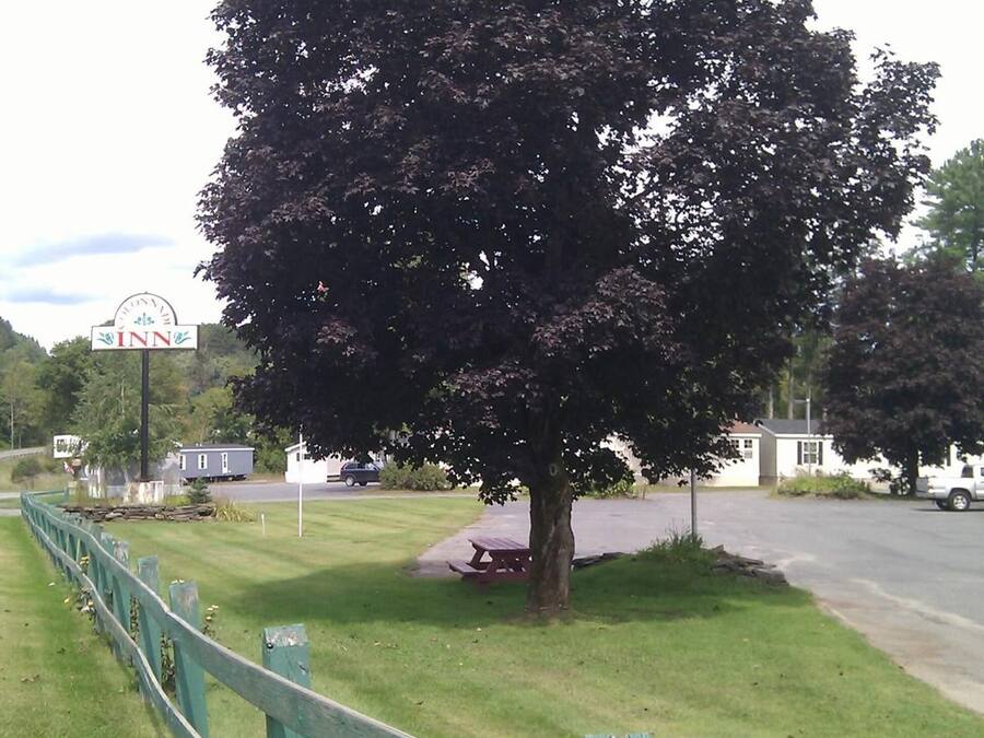 A tree-lined street with a sign for a hotel.