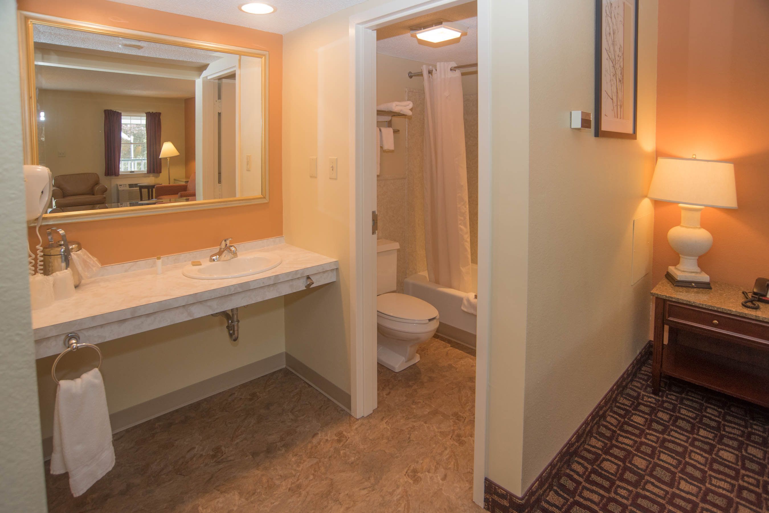 A bathroom with a sink, toilet, and shower area.