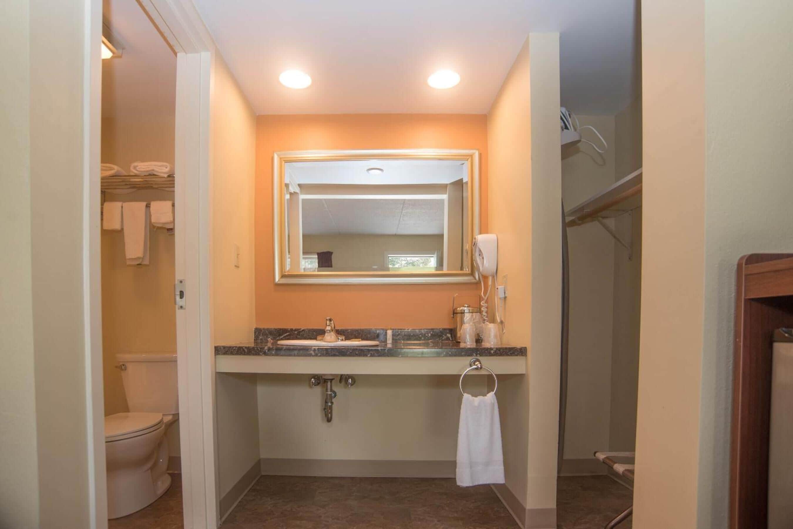 Combined shower/bathtub, free toiletries, hair dryer, towels