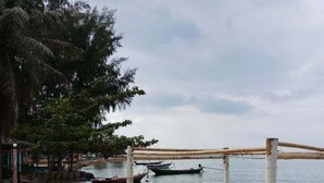 Una playa con un muelle de madera y varios barcos amarrados en el agua.